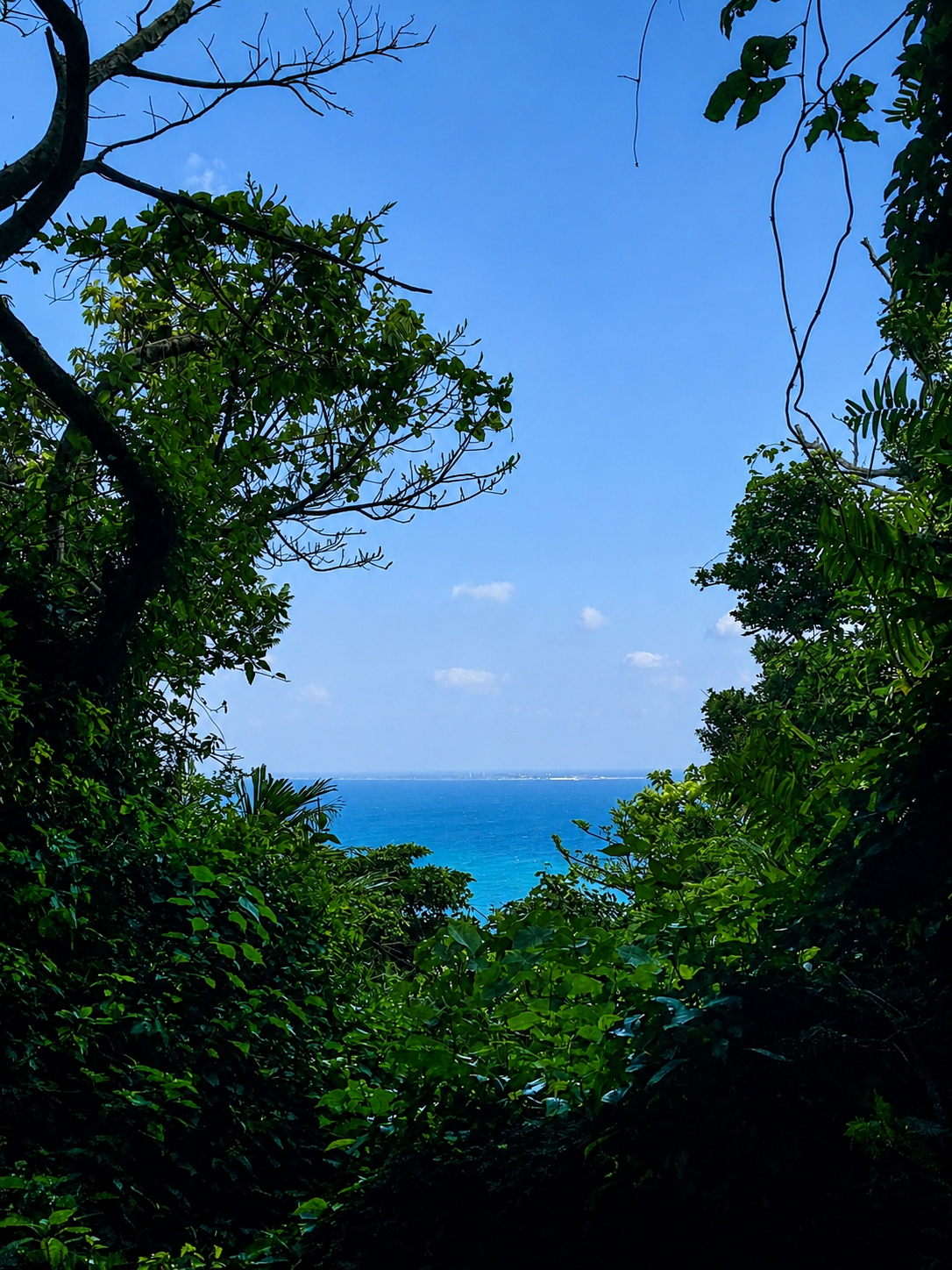 久高島遥拝所から望む久高島と青い海。緑豊かな木々に囲まれた森の中から、晴れた空と穏やかな沖縄の海を遠くに望む風景。