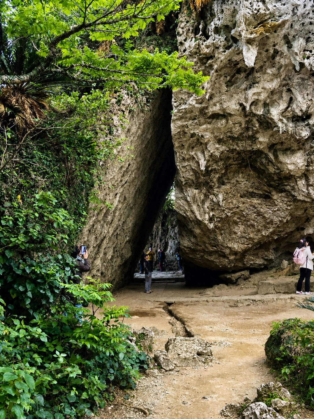 斎場御嶽の三庫理(さんぐーい)。緑豊かな森の中にそびえる巨大な琉球石灰岩の岩の隙間と、奥へ続く神聖な空間。