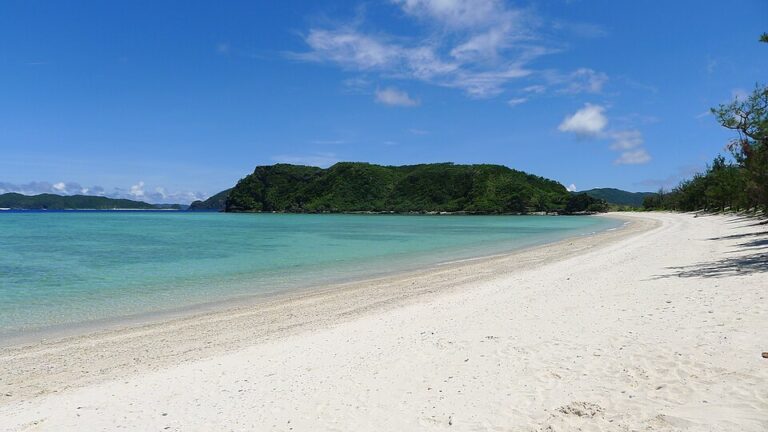 沖縄の海がエメラルドグリーンに見えるのは、サンゴ礁によってできた「真っ白な砂底」と高い「透明度」が太陽光を反射するためです。代表的な絶景スポットとして、環境省の「快水浴場百選」にも認定された本部町のエメラルドビーチや、ミシュラン三つ星を獲得した石垣島の川平湾が有名です。